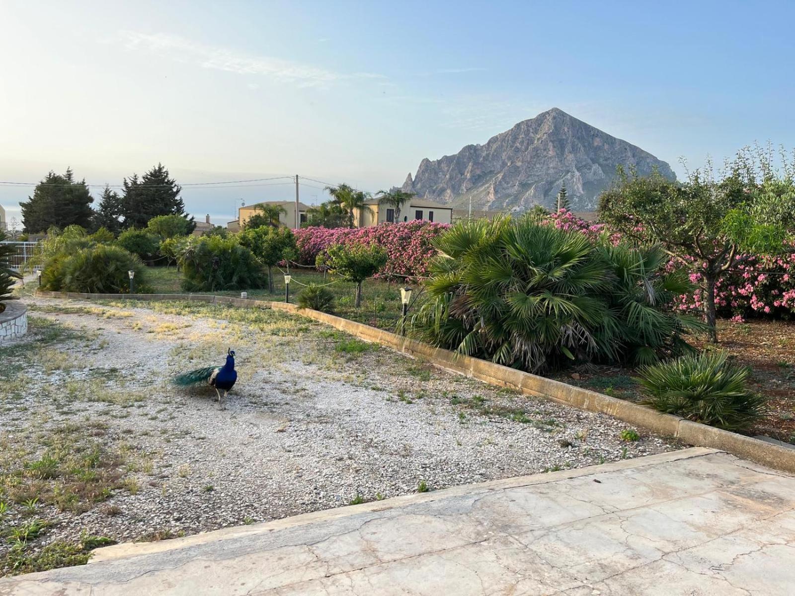 Villa Lea Custonaci Bagian luar foto